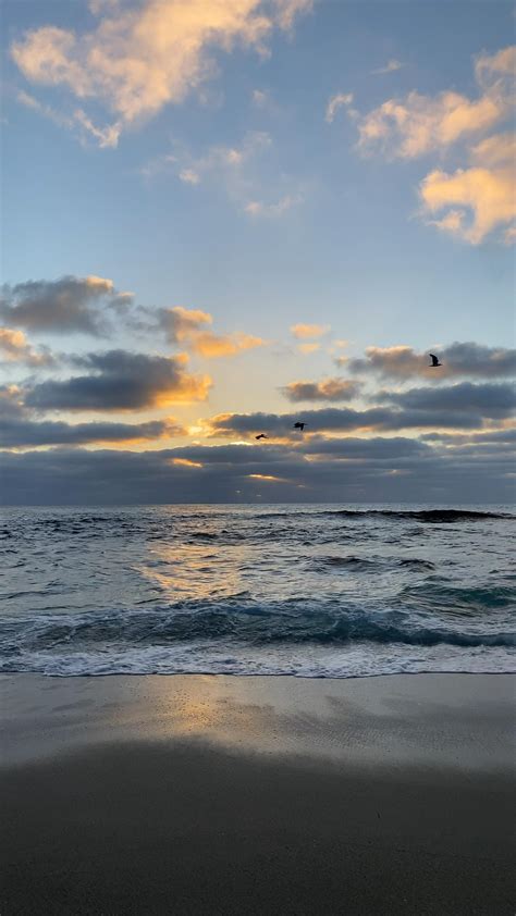 San diego beach jess living photo – Artofit