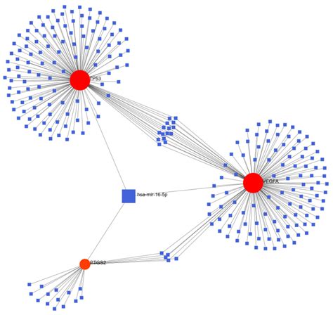 Identification of Ferroptosis-Related Genes in Schizophrenia Based on ...