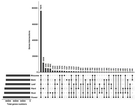 Integrated Chemical and Transcriptomic Analysis Reveals the ...