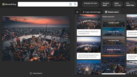 Bing Search Tricks 的图像结果