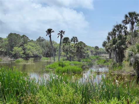 Hiking Oregon: Bull Island, Cape Romain National Wildlife Refuge, SC