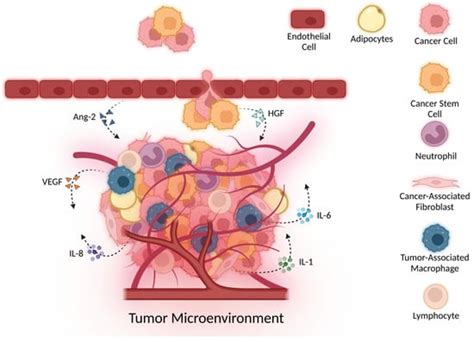 Cytokines: Can Cancer Get the Message?