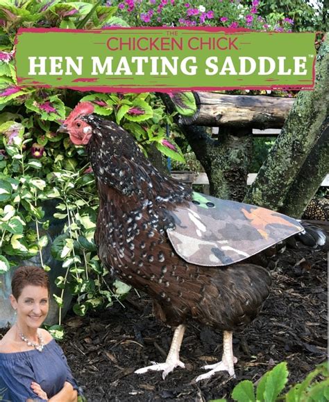 Chicken 的图像结果