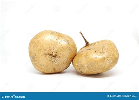 Mexican Turnip Sweet Potato, White Sweet Potato Stock Photography ...