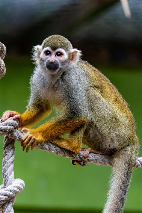 biological 的图像结果