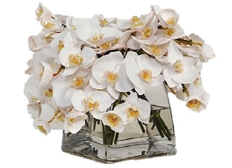 Buy The French Bee Watergarden Collection Silk Phalaenopsis Orchids in ...