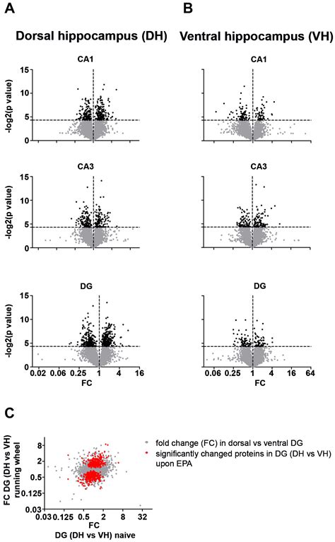 Physical Activity Dynamically Regulates the Hippocampal Proteome along ...