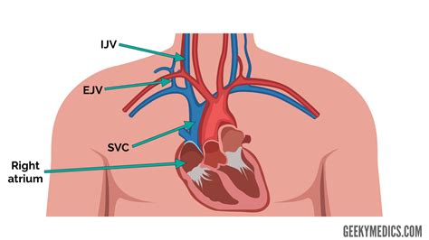 Jugular Venous Pressure (JVP) | Measurement | Waveforms | Geeky Medics