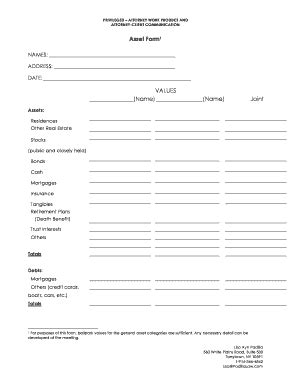 Fillable Online asset form blank for clients to fill out prior to ...