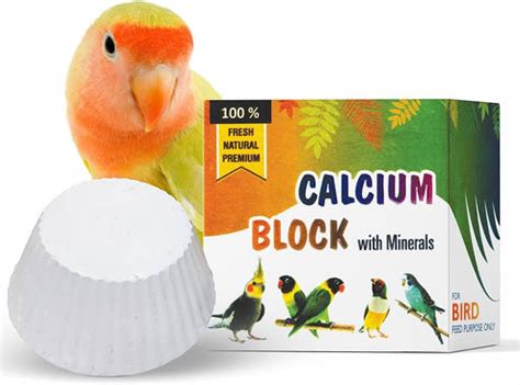 Natural Calcium and Mineral Block for Birds, 60g | High-Calcium Supple ...