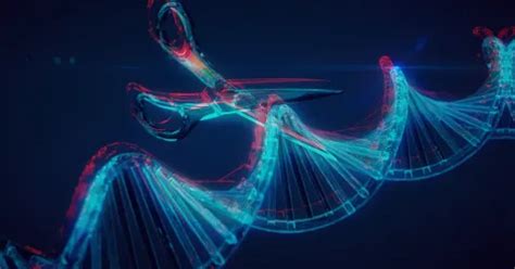 CRISPR gene-editing therapy shows promise as cardiac amyloidosis ...