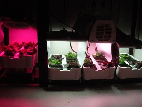 Science 的图像结果