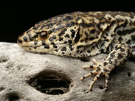 Photography Using Light 的图像结果