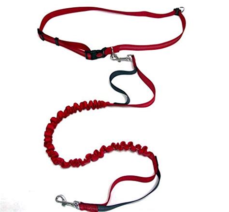 Hand Free Dog Leash for Running, Two Soft Handle Bungee Leashes with ...