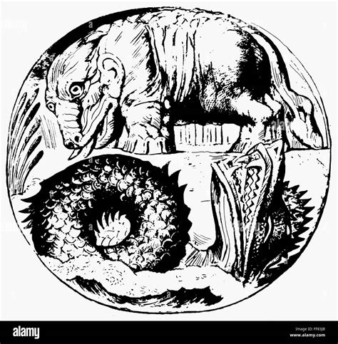 BEHEMOTH & LEVIATHAN. /nThe Biblical monsters Behemoth and Leviathan ...