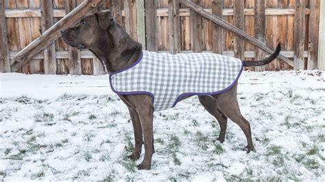 Simple Fleece Dog Coat Pattern DIY Fur Baby Coat How To Sew A Dog