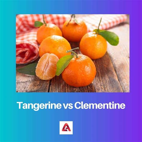 Difference Between Orange And Clementine at Carolann Ness blog