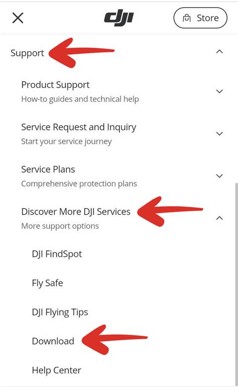DJI Fly Tutorial 的图像结果