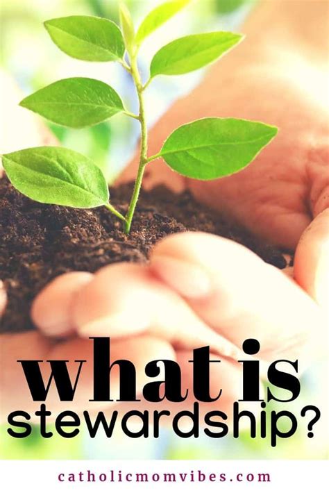 Image result for How to Implement Stewardship