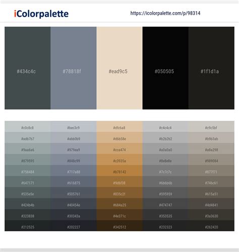 5 Latest Color Schemes with Raven And Black Color tone combinations ...