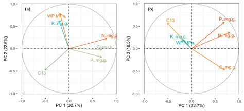 Convergent Variations in the Leaf Traits of Desert Plants