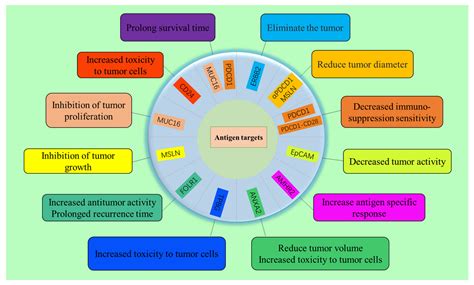 CAR-T Cells in the Treatment of Ovarian Cancer: A Promising Cell Therapy