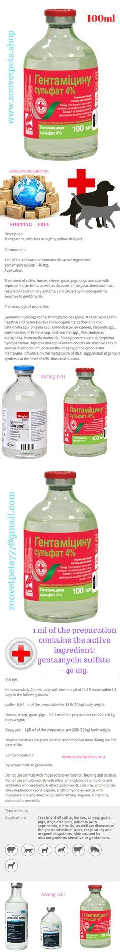 pneumonia in dogs