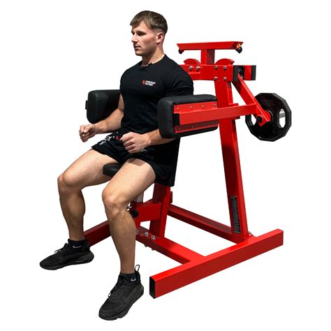 Rear Lateral Raise Machine