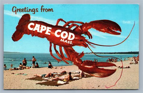 CAPE COD MA LOBSTER & BEACH SCENE 1974 VINTAGE POSTCARD – Motka
