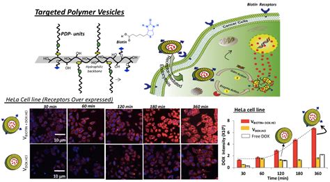 Home [www.iiserpune.ac.in]