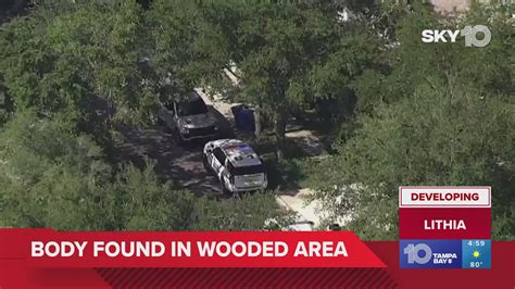 Body found in woods in Hillsborough County | wtsp.com
