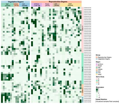 Genome-Wide Identification and Evolutionary Analysis of the GATA ...