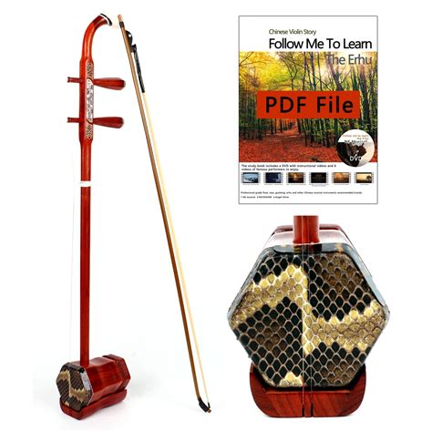 Chinese String Instrument 的图像结果