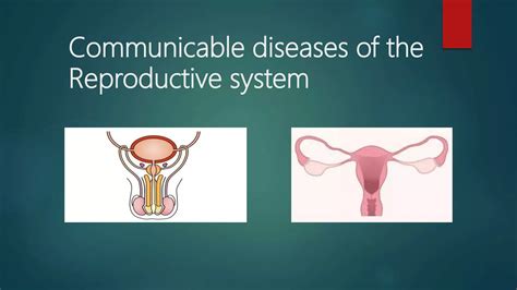 Communicable diseases of the reproductive system | PPTX