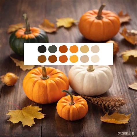 Fall Autumn Color Palettes: Create Cozy Spaces with Nature's Hues ⋆ ...