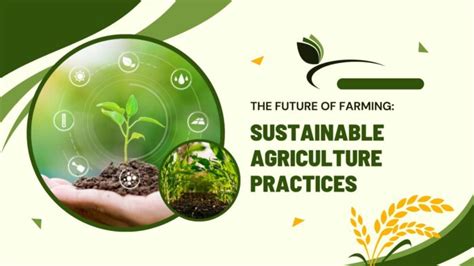 Agriculture Industry 的图像结果