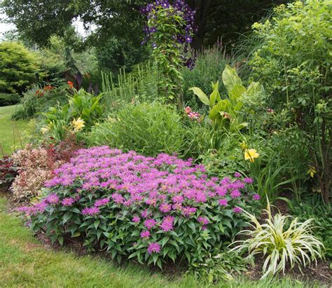 26 Perennial Garden Design Ideas Inspire You To Improve Your Outdoor ...