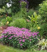 Image result for Beautiful Perennial Gardens
