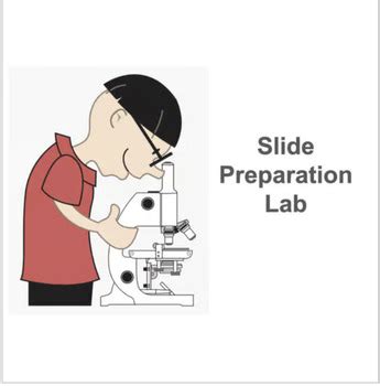Biology Lab Lab Basic 1A 的图像结果