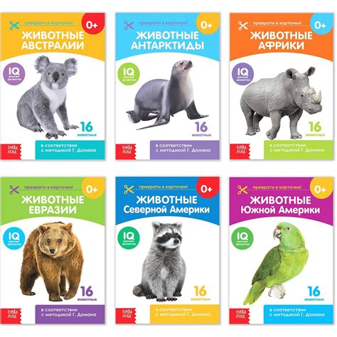Buy Doman's Method Animal Flashcards of Continents Set in Russian ...