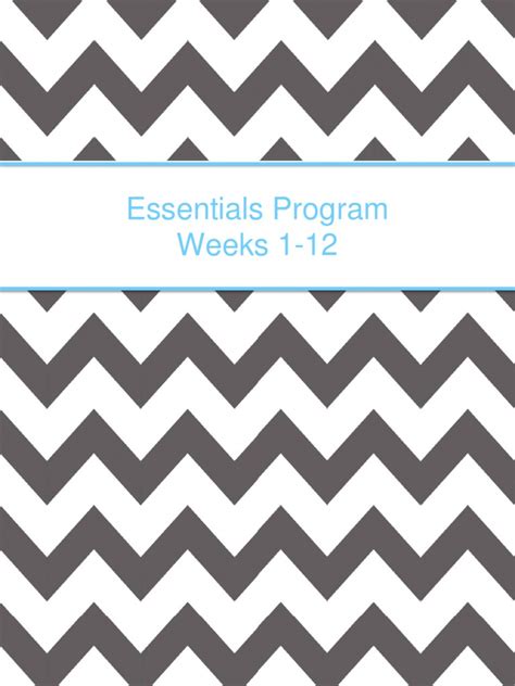 Essentials Program 的图像结果