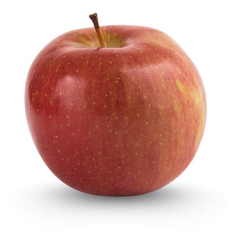 Image result for Apple Basic Programming Example