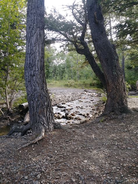 Red Eagle Campground – undefined, undefined | Rates, Reviews ...