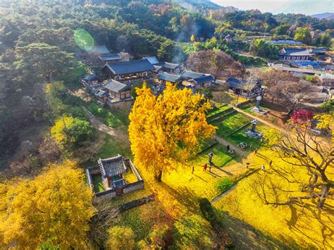 Korean seowon recommended for UNESCO World Heritage