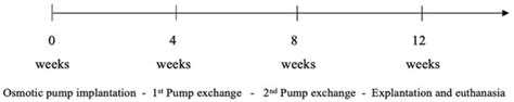 Bisphenol A-Related Effects on Bone Morphology and Biomechanical ...