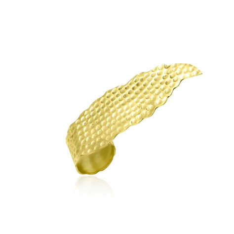 Wing Covering Three Fingers Ring – OnetabyDSG