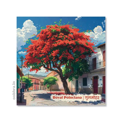 Royal Poinciana (Gulmohar) - Magnet – Oobhra India