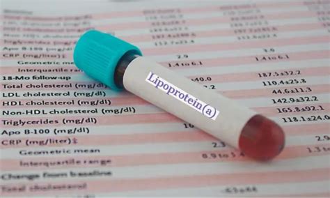 Unlocking the Link: Elevated Lp(a) Levels and ASCVD Risk in Patients ...