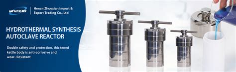 HNZXIB 100ml Autoclave Hydrothermal Synthesis Reactor Kettle PTFE ...