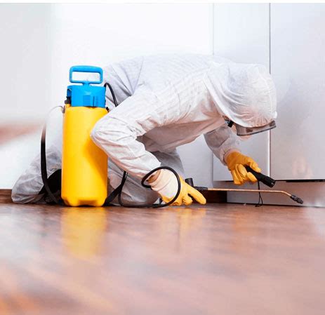 Pest Control Lancaster 的图像结果